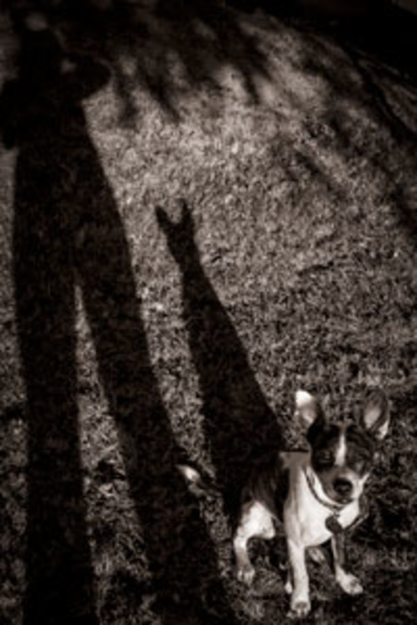 Me and My Buddy by Wanda Oliver