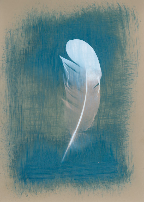 Salutations #1 by Wanda Oliver