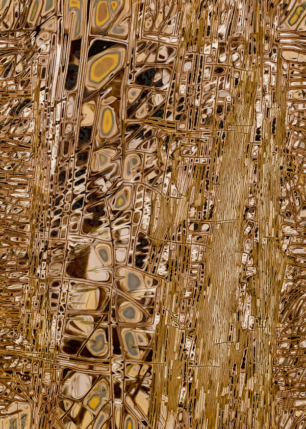 Cellular Structure by Wanda Oliver