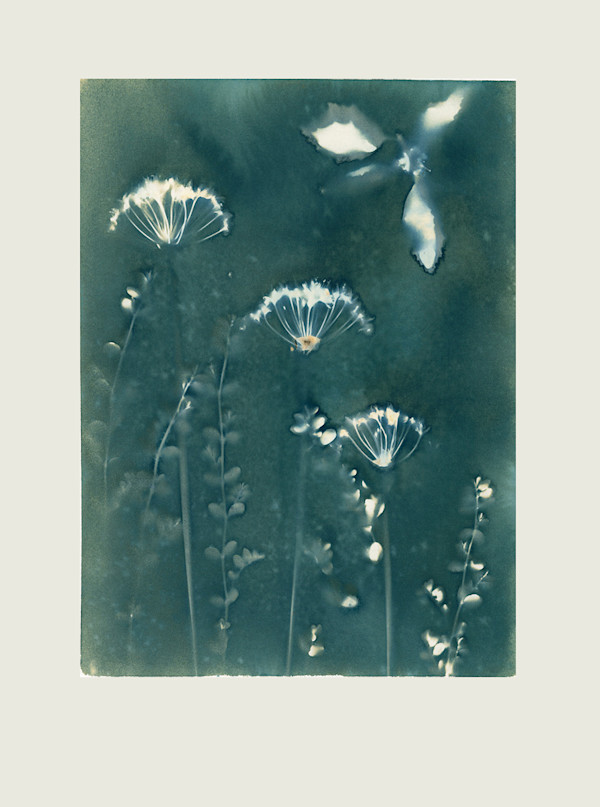 In The Garden #1 by Wanda Oliver