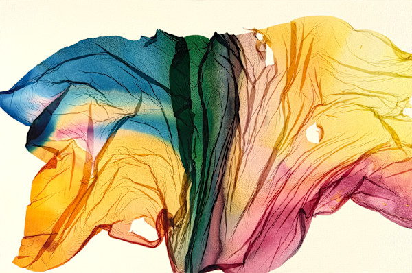 Field Study #9 by Jenny Johannsen, Image 3.