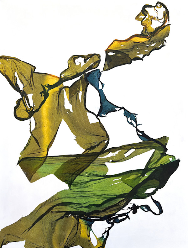 The Air Was Dancing by Jenny Johannsen