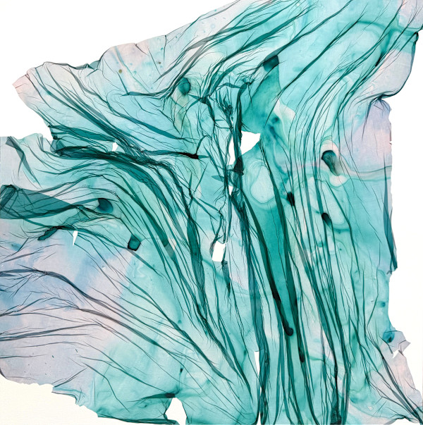 Crosscurrent by Jenny Johannsen, Image 1.