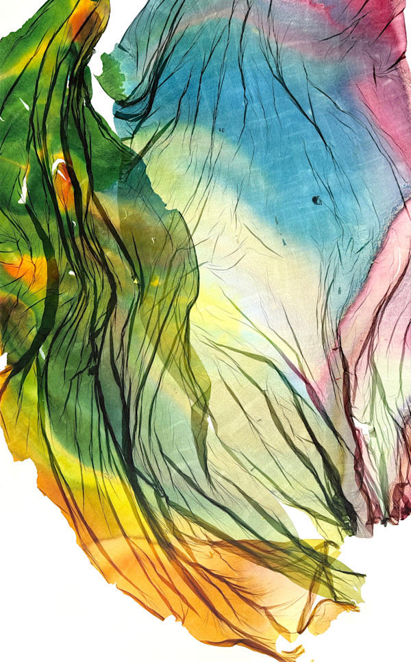 Plume Bloom by Jenny Johannsen, Image 1.
