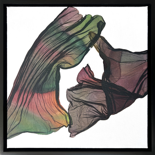 Interdependence by Jenny Johannsen