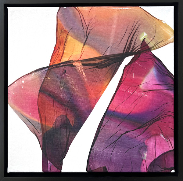 What The Light Touches by Jenny Johannsen