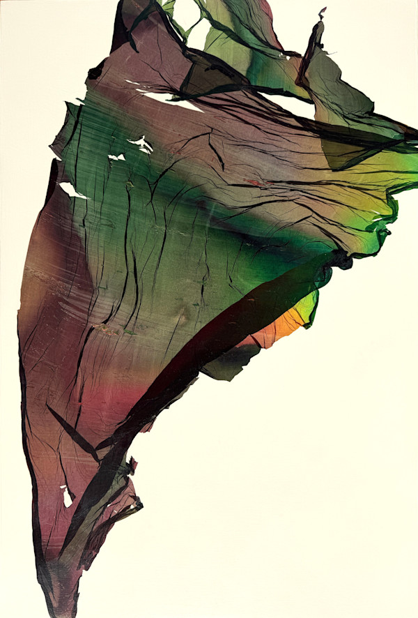 Night Bloom by Jenny Johannsen, Image 1.