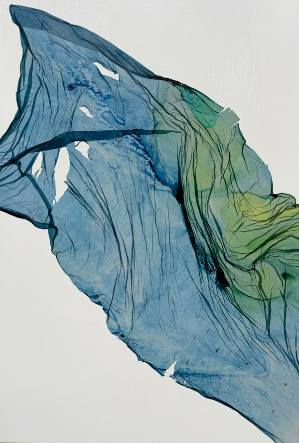 Tidelift by Jenny Johannsen, Image 1.