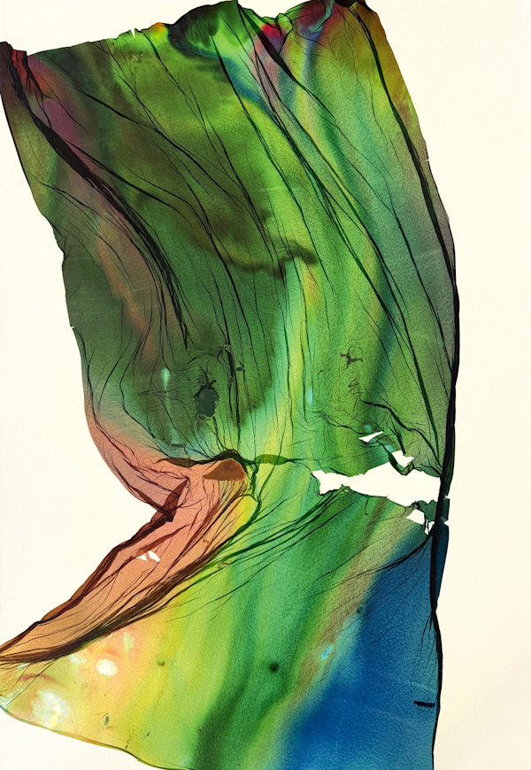 Not to Scale by Jenny Johannsen