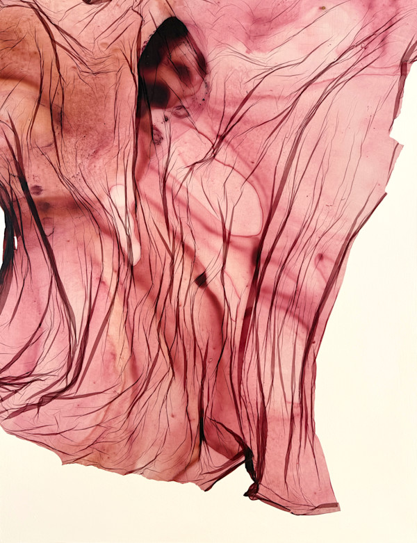 Ruby Air by Jenny Johannsen