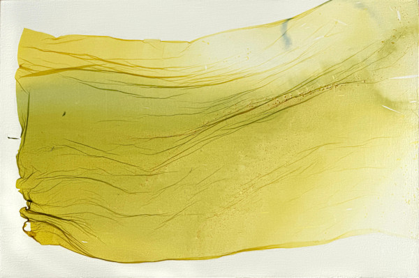 Citron Whisper by Jenny Johannsen, Image 1.