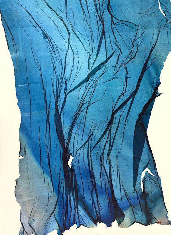 Field Study #4 by Jenny Johannsen, Image 1.
