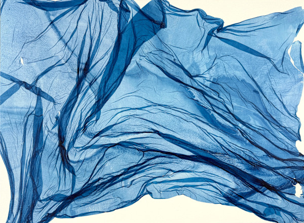 Field Study #6 by Jenny Johannsen, Image 1.
