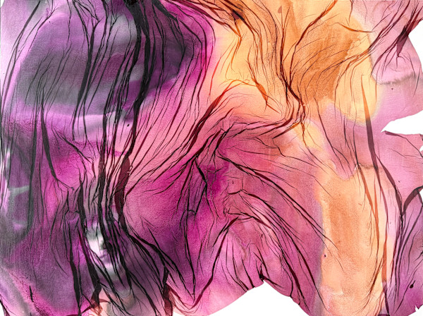 Field Study #1 by Jenny Johannsen, Image 1.