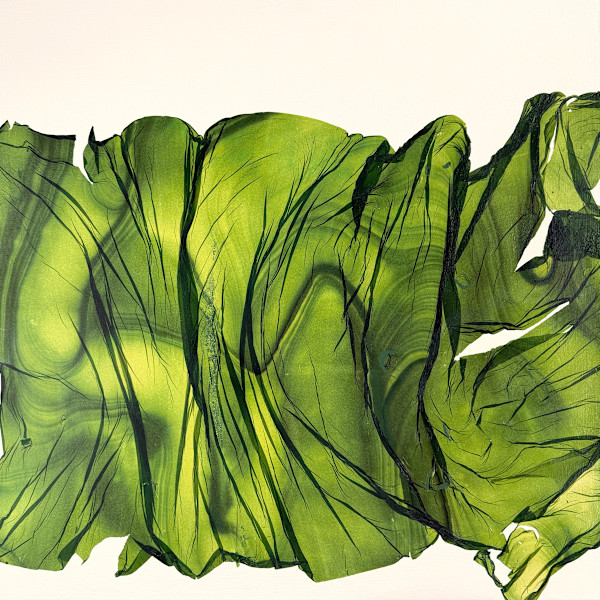 Field Study #3 by Jenny Johannsen, Image 1.