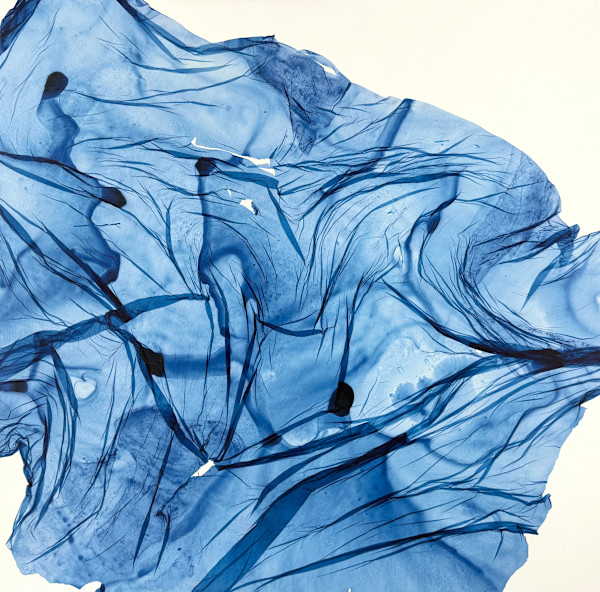 Field Study #5 by Jenny Johannsen, Image 1.