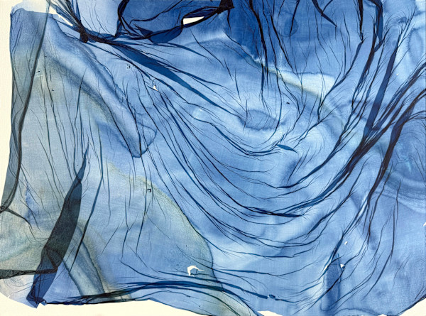Field Study #7 by Jenny Johannsen, Image 1.