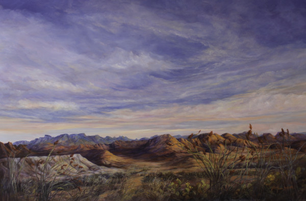 Sunset on a Desert Garden by Lindy Cook Severns