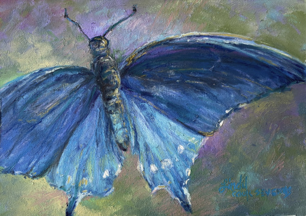 Winging the Blues by Lindy Cook Severns