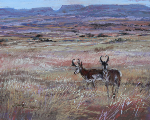 Home on the Range by Lindy Cook Severns