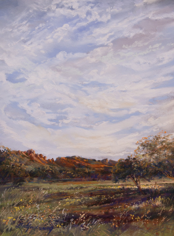 Summer Morning in the Davis Mountains by Lindy Cook Severns