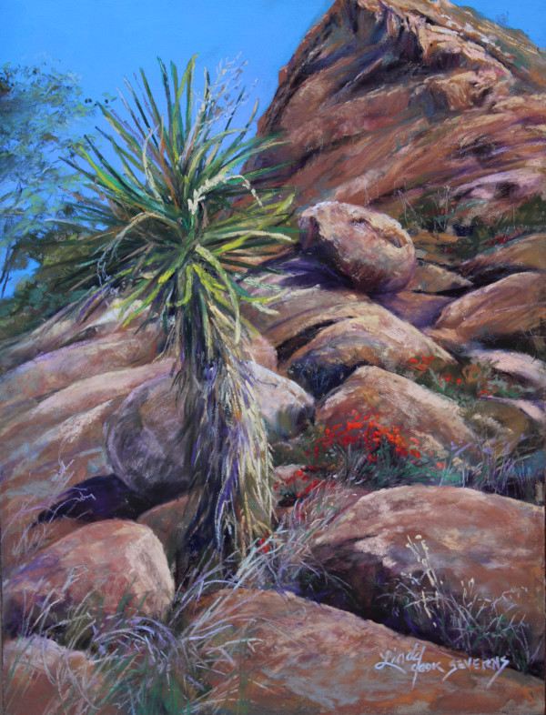 Life on the Rocks by Lindy Cook Severns