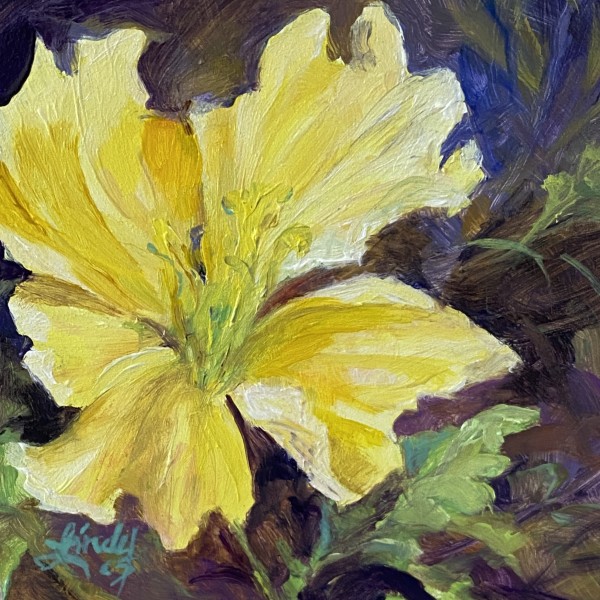 Buttercup Yellow by Lindy Cook Severns