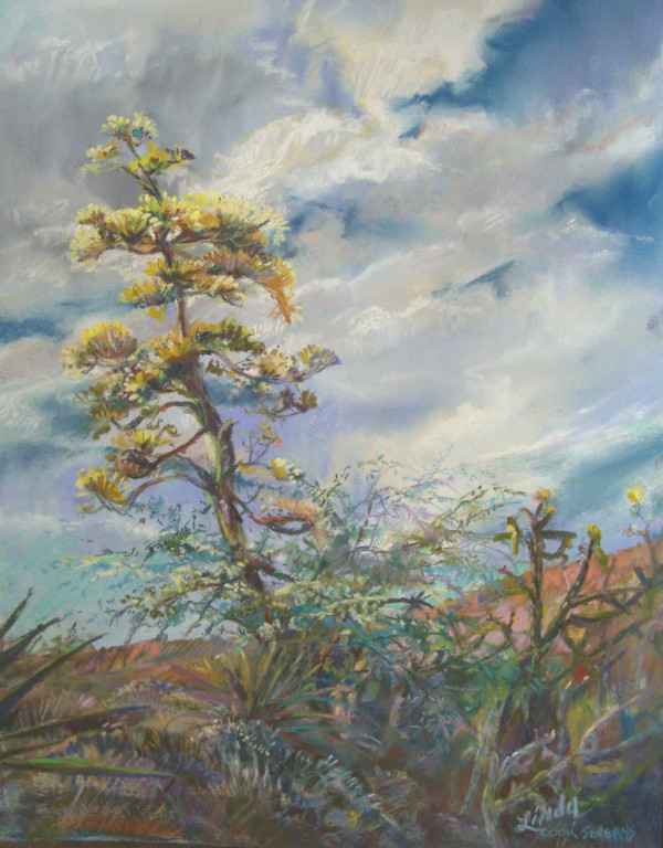 Agave Sky by Lindy Cook Severns