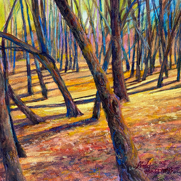 A Walk In Autumn's Woods by Lindy Cook Severns