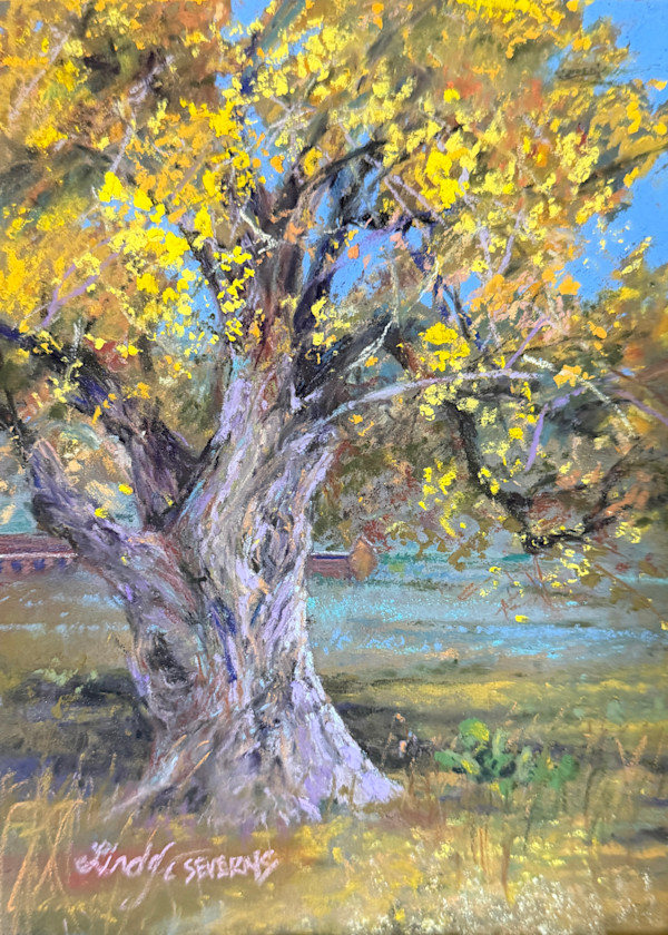 A History of Cottonwoods: Fort Davis, Texas by Lindy Cook Severns, Image 1.