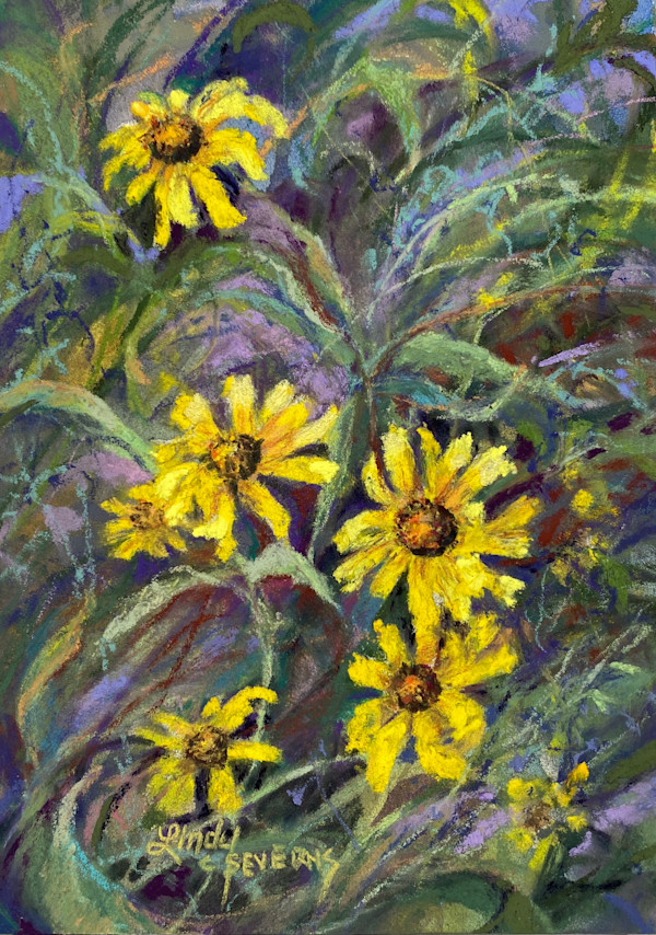 Dancing Black Eyed Susans by Lindy Cook Severns, Image 1.