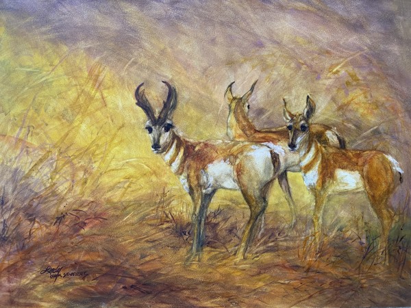 Ready to Race the Wind by Lindy Cook Severns