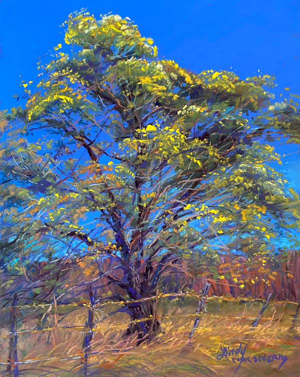 Gilded Around the Edges, Happy to the Core by Lindy Cook Severns