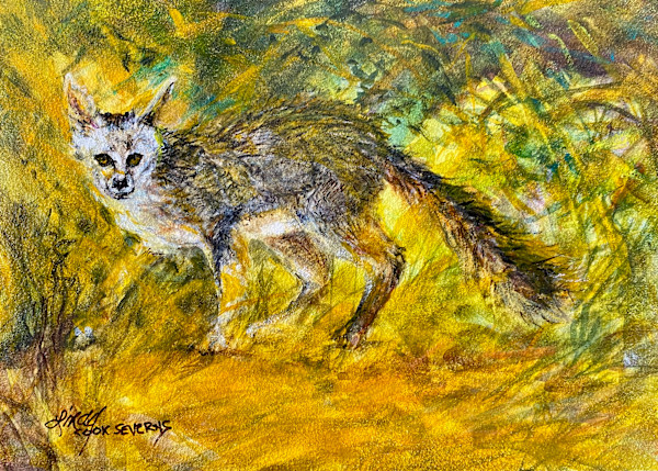 Stepping in Sunbeams by Lindy Cook Severns