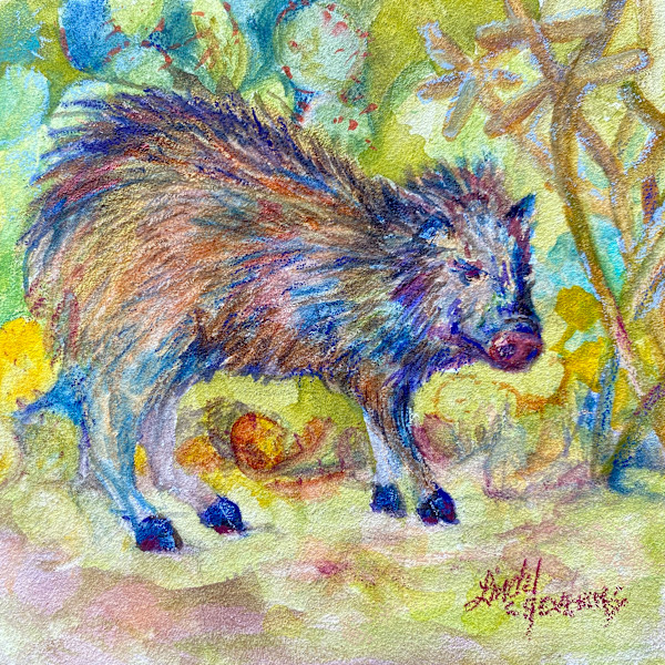 Hari Javelina by Lindy Cook Severns