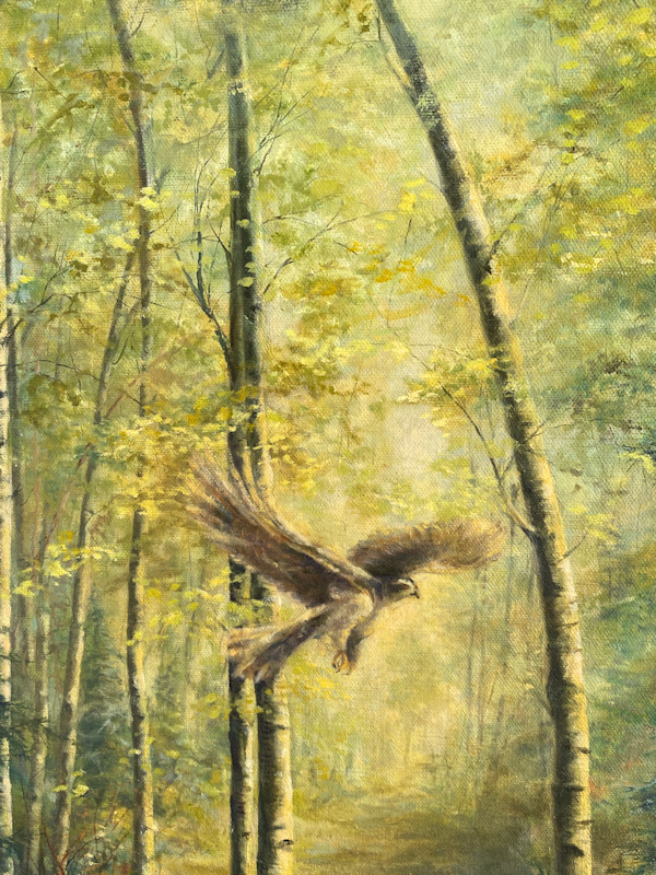 Footless Halls of Air by Lindy Cook Severns