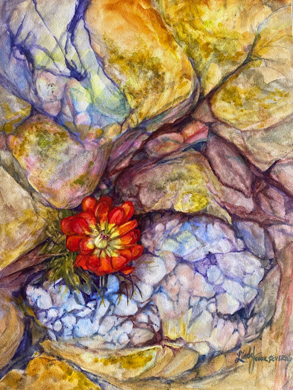 Growing Solo by Lindy Cook Severns