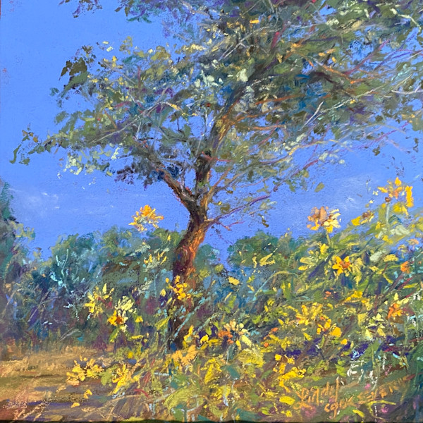 Summer Breeze by Lindy Cook Severns