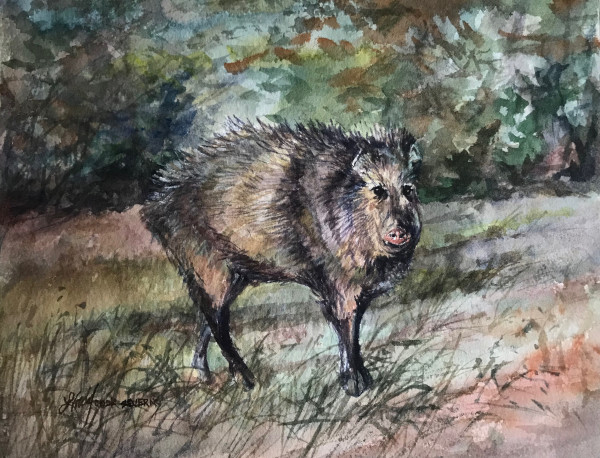 Javelina With An Attitude by Lindy Cook Severns