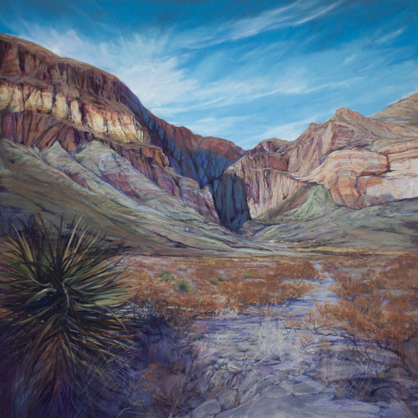 Shadow Canyon by Lindy Cook Severns
