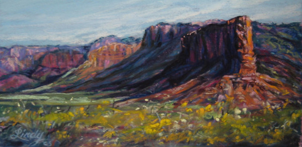 Texas Canyonlands by Lindy Cook Severns