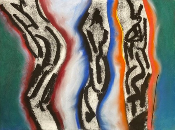 Body, Mind, Spirit: With Birds & a Stethoscope by Daniel Tucker