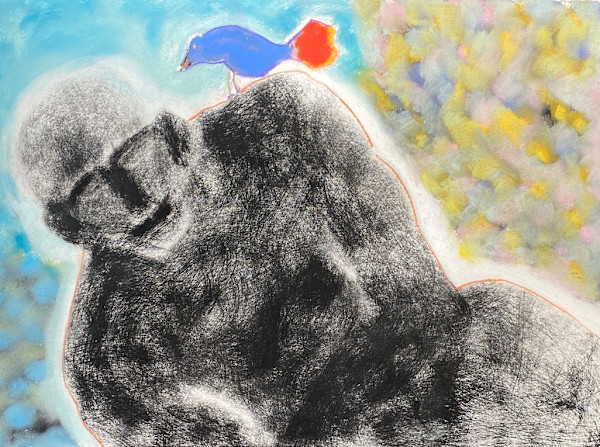 Blue Bird by Daniel Tucker