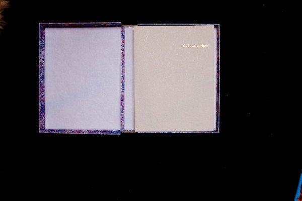 The House of Music by Daniel Tucker, Image 4.