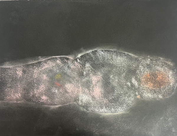 Museum of Feelings #14: Shroud of a Sleeping Beauty by Daniel Tucker