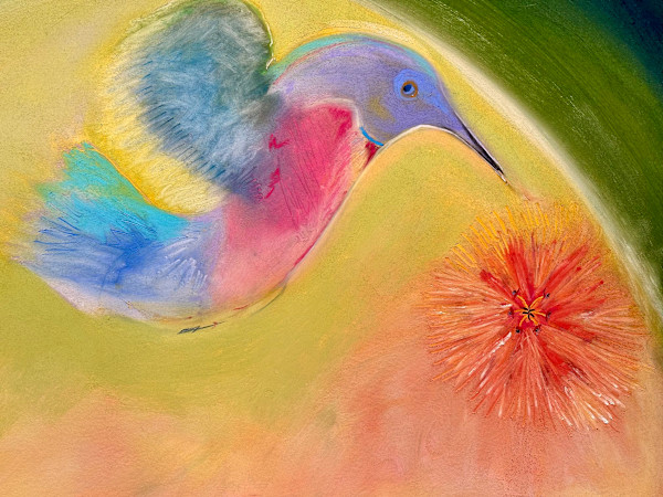 Nectar OR Seeker by Daniel Tucker, Image 18.