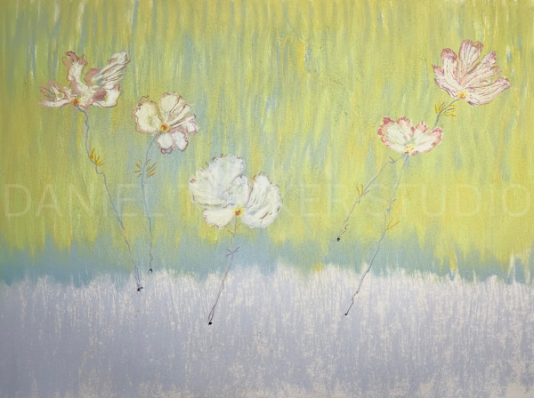 The Cosmos by Daniel Tucker