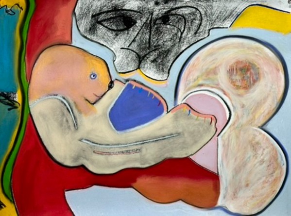 Stages of Wild Life: Baby Koala by Daniel Tucker