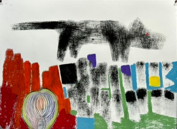 The Coyote and the Fingerprint by Daniel Tucker, Image 7.