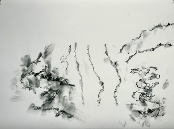 View of White Mountain from the Hermitage by Daniel Tucker